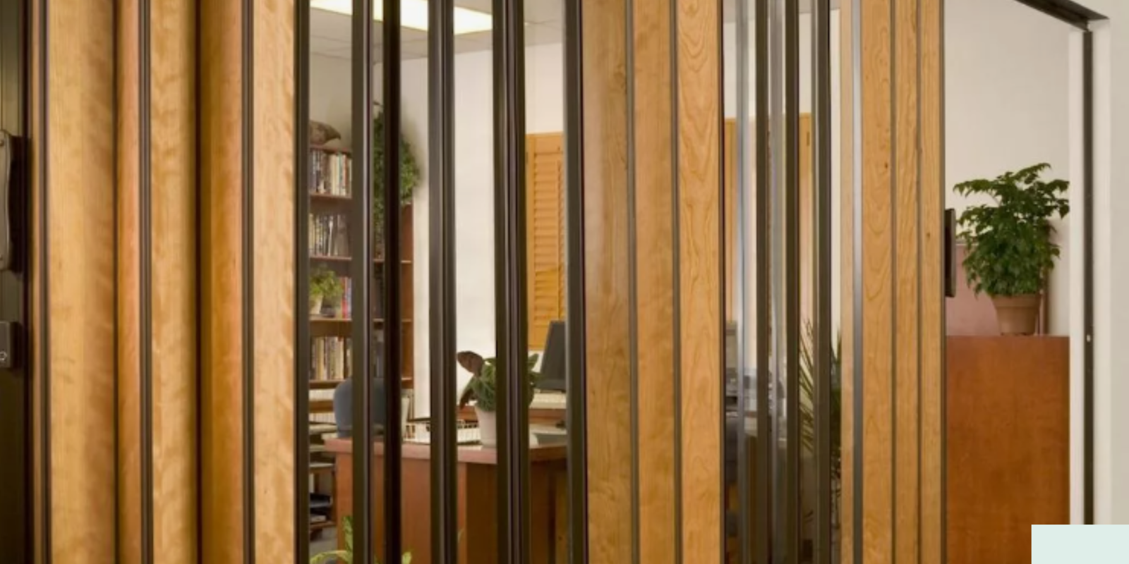 Untitled design (5)